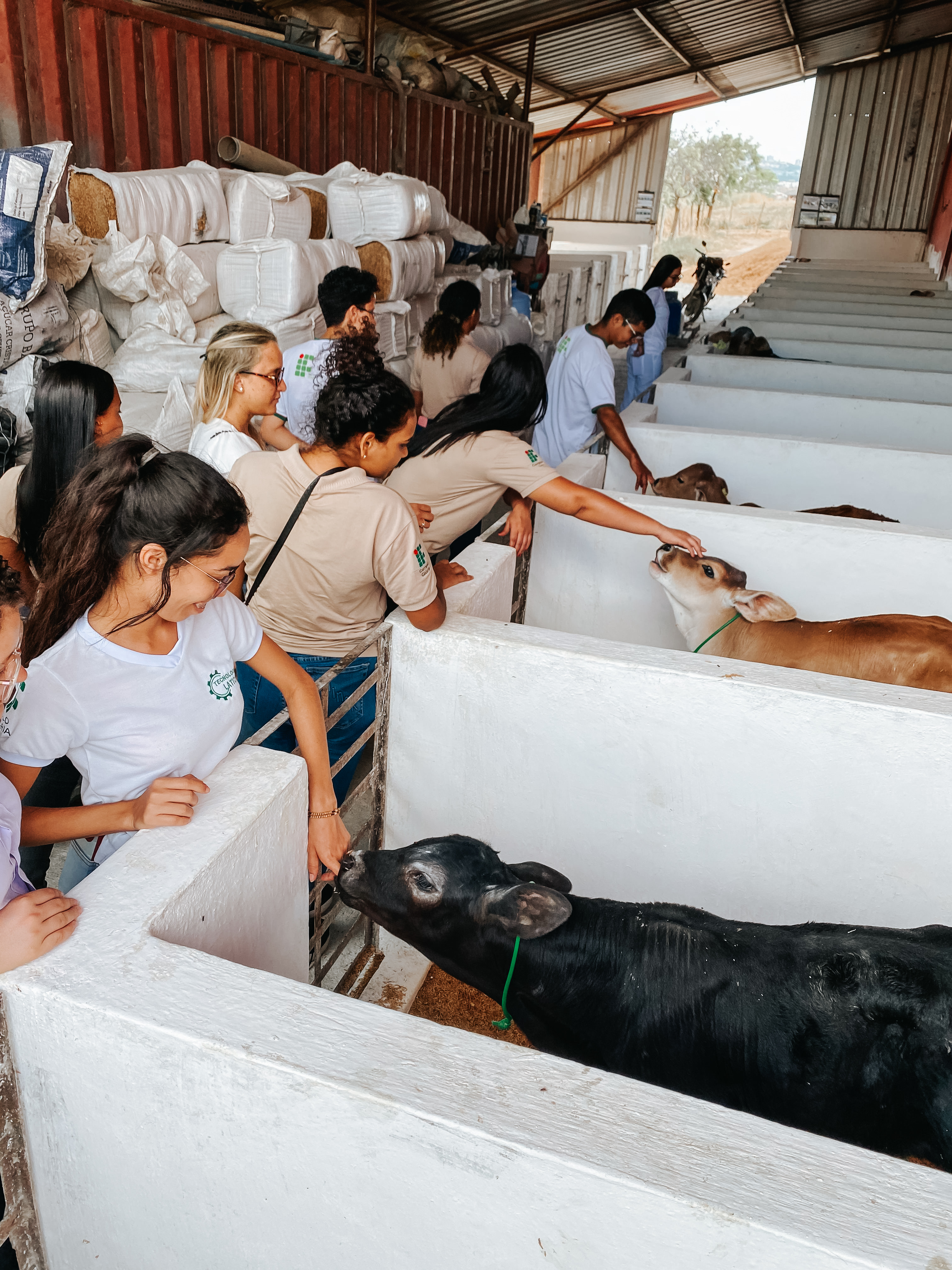 Estudantes em contato com animais