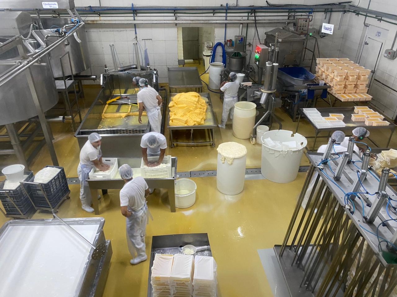 Trabalhadores na fábrica 2