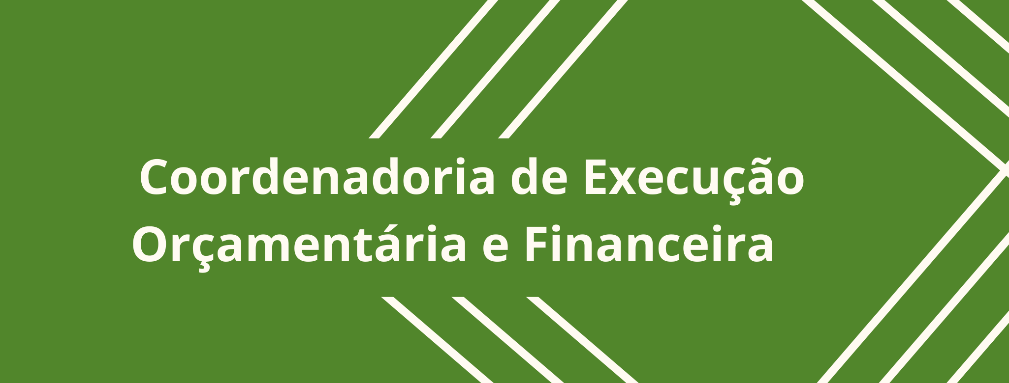 Coordenadoria de execução oorçamentária e financeira