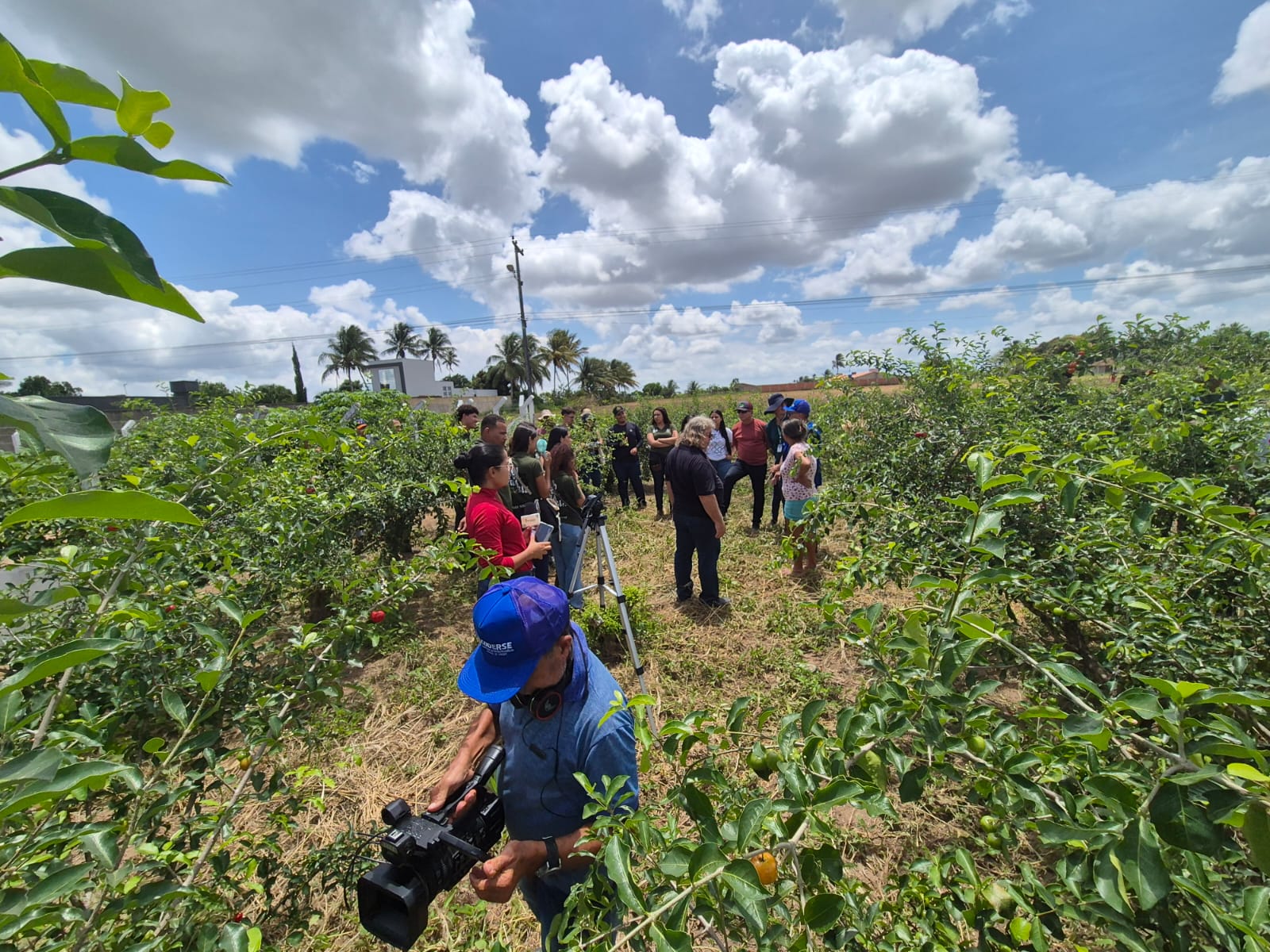Visita técnica SC 8