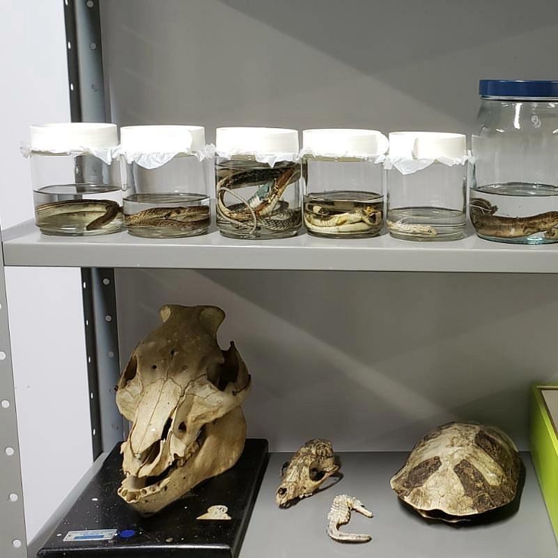 4F647BD2 12D6 412C 9564 B668C35A9BEC