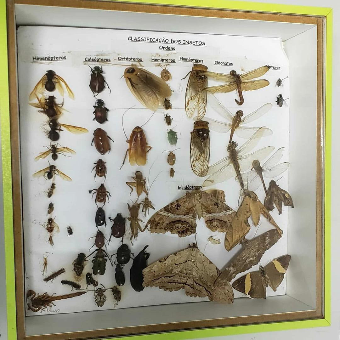 D001FAE6 6434 45D3 AC45 8CC8BC7FAF14