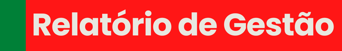 RELATORIO DE GESTAO