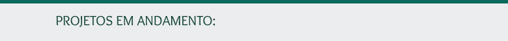 PROJETOS EM ANDAMENTO