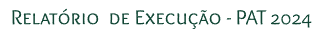 Relatório de Execução 2024